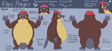 #platypus fursona on Tumblr