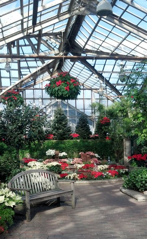 Lincoln Park Conservatory: Perhaps a Poinsettia or Two? | The Chicago Files