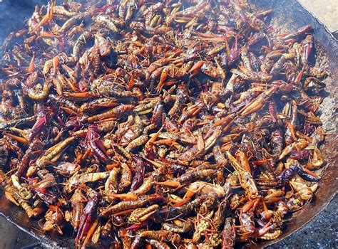 Dziwala Recipe |Malawian African Fried Grasshoppers – Afro Gist Media