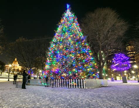 The Best Christmas Trees and Displays to See in Boston