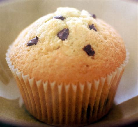 Chocolate Chip Cupcake Recipe | Delishably