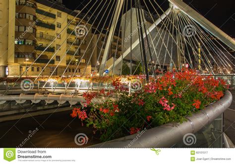 Pont De Paris Bridge Night View Editorial Photography - Image of ...