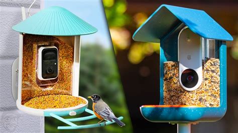 5 Best Bird Feeder Camera in 2024 - YouTube