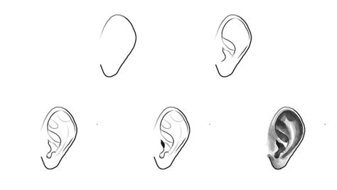 How to Draw an Ear (7 Easy Steps) - Jae Johns