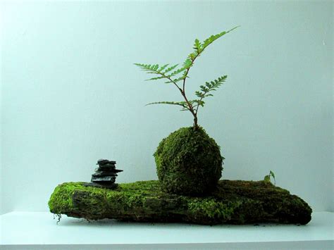 How to Make a Kokedama—The Japanese Art of the Moss Ball