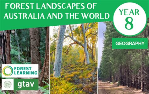 Geography Year 8: Forest Landscapes of Australia and the World - Forest Learning