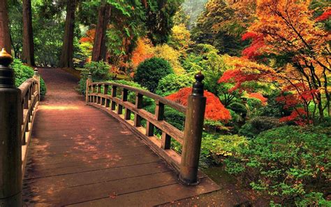 Japanese Tea Garden Wallpapers - Top Free Japanese Tea Garden ...