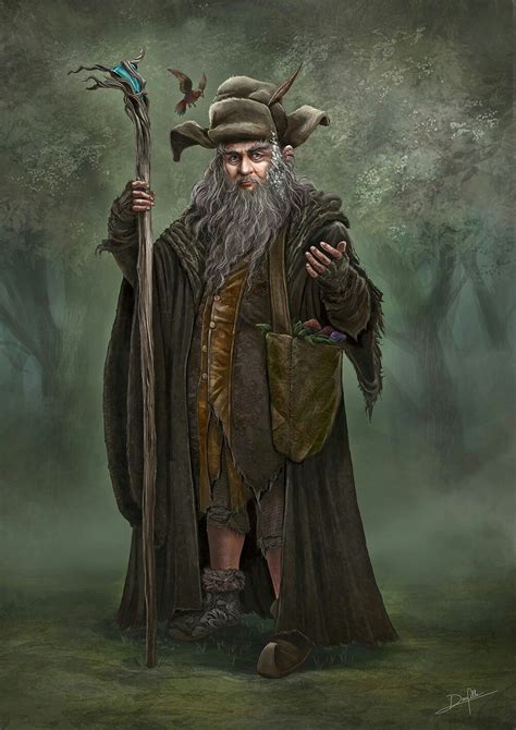 Radagast the Brown Art Portrait | Middle earth art, Radagast the brown ...