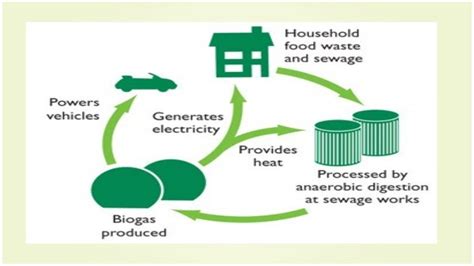 Methane production by bacteria