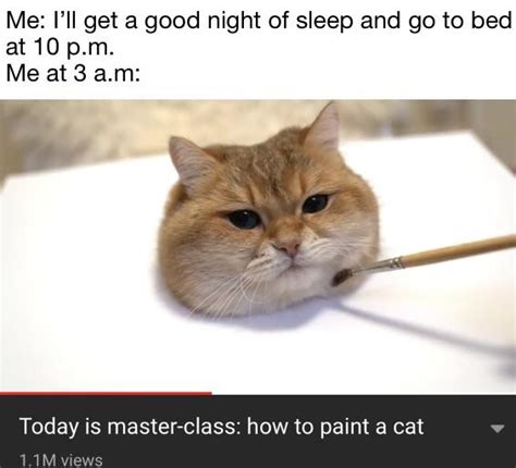 It’s a real cat : r/dankmemes