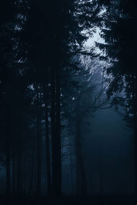 Foggy forest monster, dark, drawing, fog, gloomy, horror, nature, smoke, HD mobile wallpaper ...