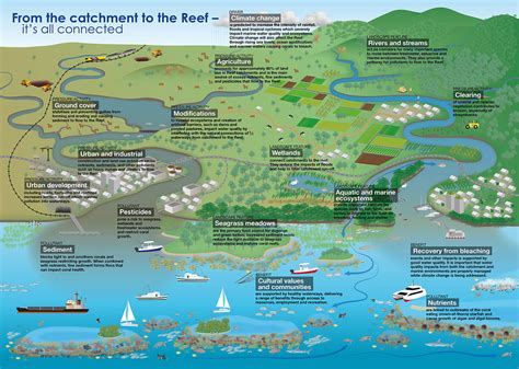 Lake Ecosystem Diagram