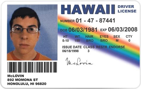 ALG ID Cards® Superbad McLovin ID Card Novelty India | Ubuy