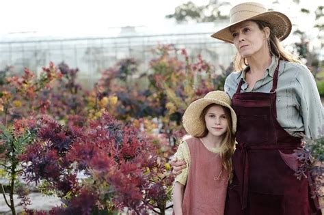 Temporada 2 de Las flores perdidas de Alice Hart en Prime Video: Estado de renovación, fecha de ...