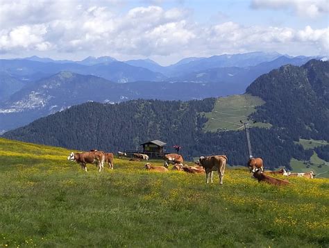 Wiedersbergerhornbahn (Alpbach) - All You Need to Know Before You Go (with Photos) - TripAdvisor