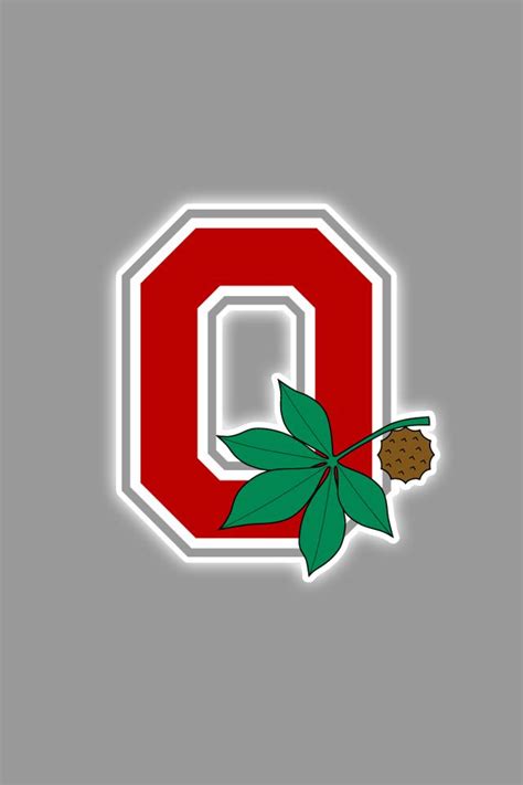 Buckeye Leaf Ohio State Block O - Debora Milke