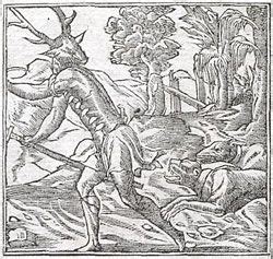 Actaeon changing into a stag and being attacked by his hounds | Emblems ...