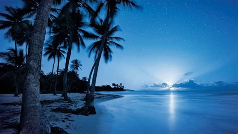 Download Beach Night Rising Moon Wallpaper | Wallpapers.com