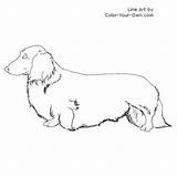 16 Best Dachshund Coloring Pages Images On Pinterest sketch template