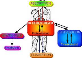 Pharmacokinetics - Assignment