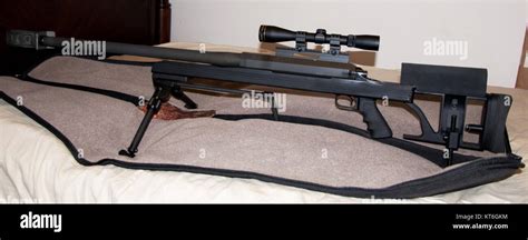 ArmaLite AR50 A1 APA Accessories Stock Photo - Alamy