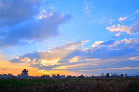 Golden Light on Sky during Sunset in the Evening. Stock Photo - Image of bright, meadow: 109863184