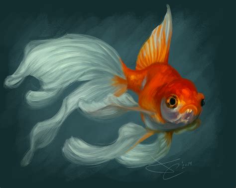 Veiltail Goldfish by greyviolett on DeviantArt