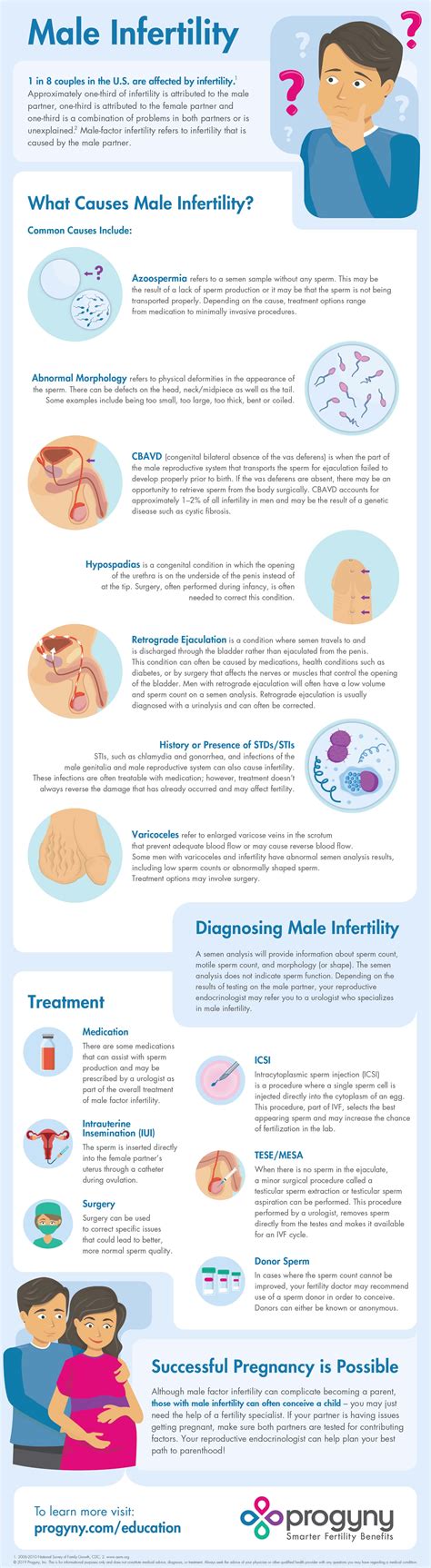 Male Infertility Infographic