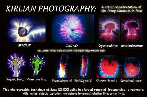 Kirlian | Kirlian photography, Photography, Healthy happy