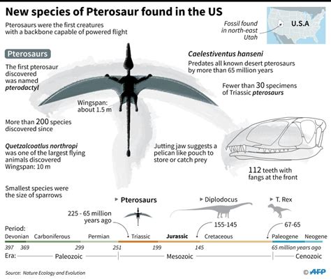 200-million year old Pterosaur ‘built for flying’