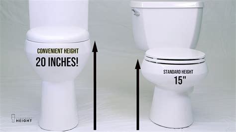 Typical Toilet Seat Height at Jamal McCleery blog