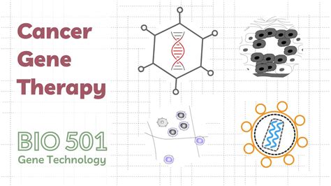 Cancer Gene Therapy - Aiming Gene Technology at Cancer Specific Molecular Targets - YouTube