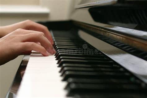 Hands and piano stock photo. Image of recital, flat, talent - 13416256