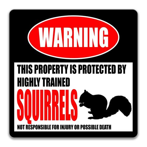 Funny Squirrel Sign Protected by Squirrels Animal Decor Pet - Etsy