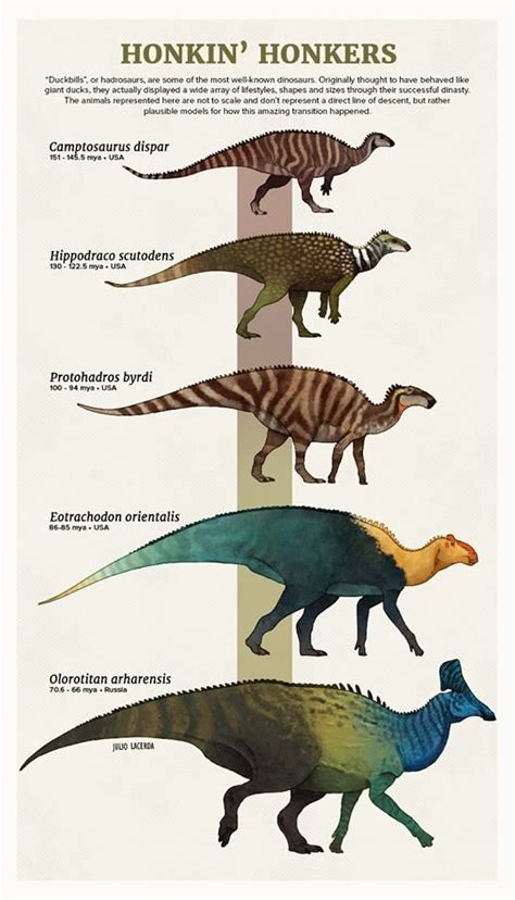 Hadrosaurus Evolution | Prehistoric animals dinosaurs, Prehistoric animals, Prehistoric dinosaurs