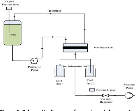 Figure 1 from INFLUENCES OF PERMEATE PRESSURE AND FEED FLOW RATE ON BENZENE REMOVAL FROM ...