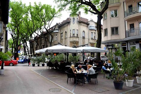 Subotica, Serbia: When Trees Take Over A City