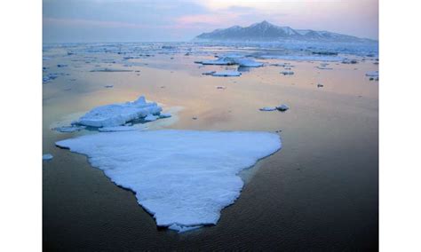 Record low level of Bering Sea ice causes profound, widespread impacts