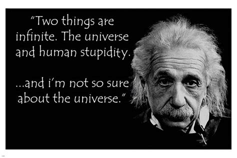 Funny Hilarious Inspirational Genius Human Stupidity Quote - Etsy | Stupid quotes, Albert ...