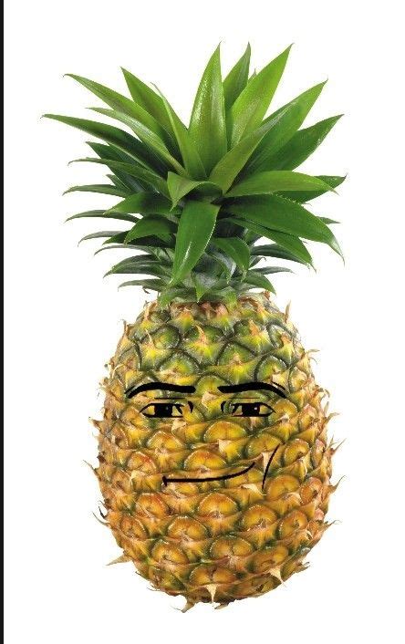 Pineapple meme – Artofit