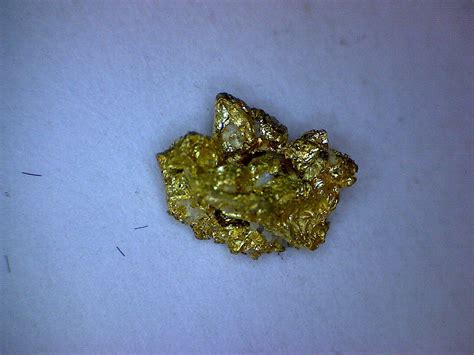 Crystallized Gold specimen