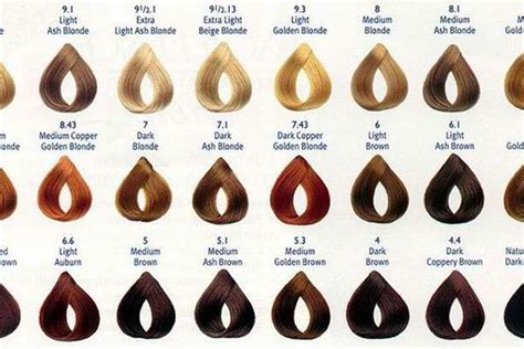 How to Use SOCOLOR | Hair color chart, Matrix hair color chart, Blonde hair color chart