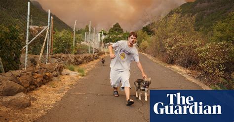 Spain battles ‘out of control’ wildfire on Tenerife – in pictures | World news | The Guardian