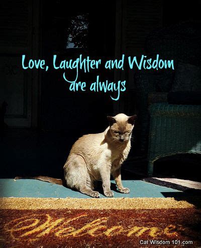 Pin on Cat Photo Quotes