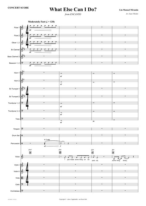 What Else Can I Do? (arr. Juan Villodre) Sheet Music | Diane Guerrero ...