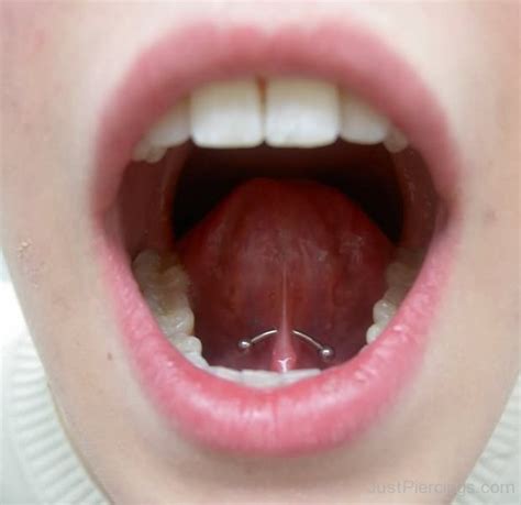 Lingual Frenulum Piercings - Page 3