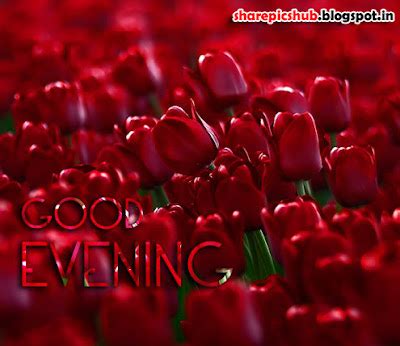 Lovely Red Roses Good Evening Wishes Greeting Card Images | Share Pics Hub