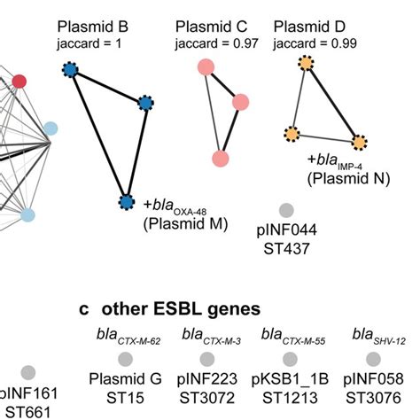 Timeline of ESBL + infection and carriage episodes. a ESBL + Klebsiella ...