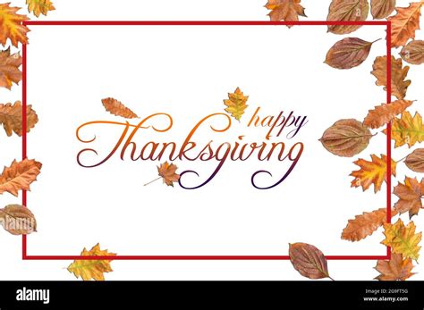 Happy Thanksgiving with colored leaves and red border on white background Stock Photo - Alamy