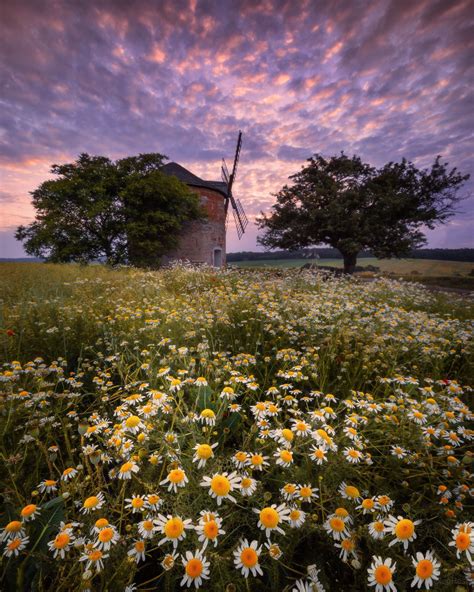 Moravian field - | Moravia, Trip, My travel